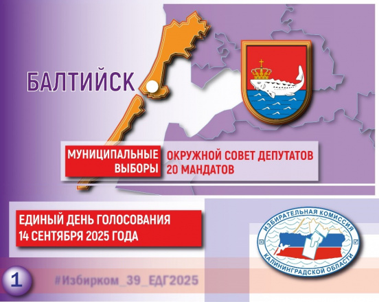 Выборы этой осени. Балтийский городской округ
