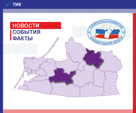Дайджест новостей ТИК