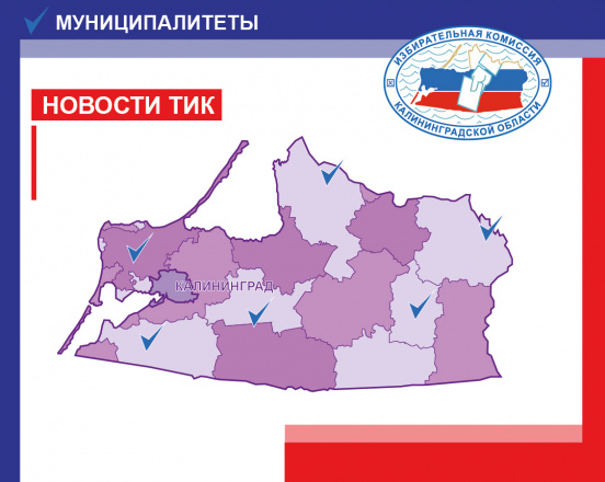 Дайджест новостей ТИК