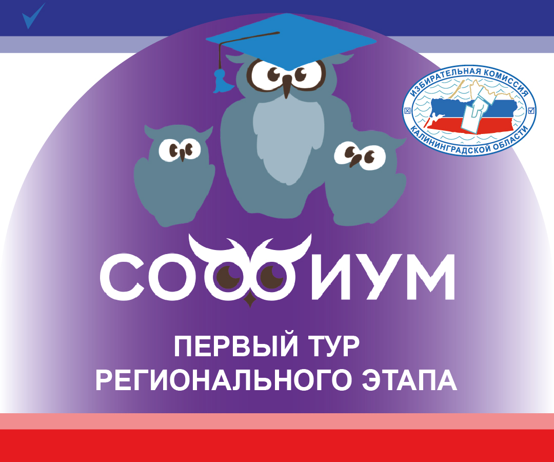 Учащиеся более 50 школ проверили свои знания избирательного права