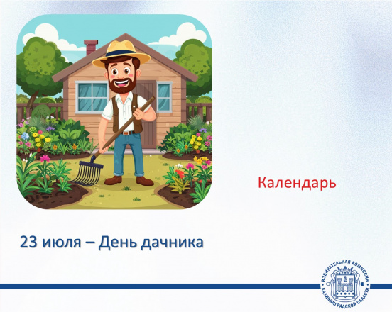День дачника!