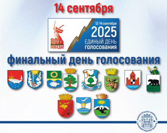 Финальный день голосования