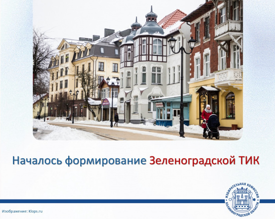 Избирком принял решение приступить к формированию Зеленоградской территориальной избирательной комиссии