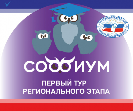 Учащиеся более 50 школ проверили свои знания избирательного права