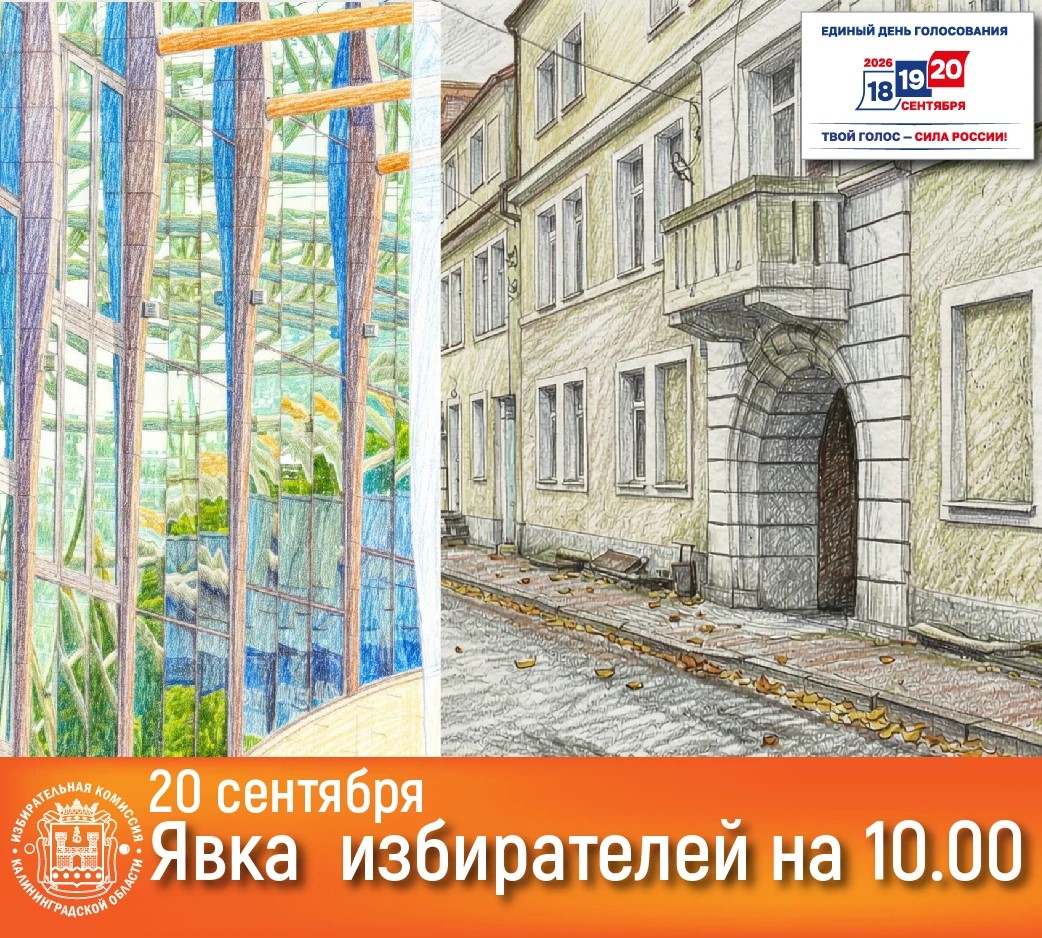 Явка избирателей в Калининградской области на 10:00 20.09.2026г.