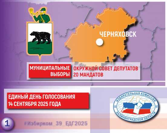 ЕДГ-2025. Черняховский муниципальный округ