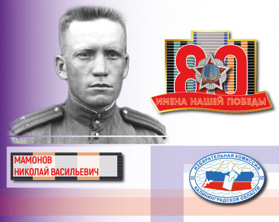 Имена нашей Победы. Николай Мамонов