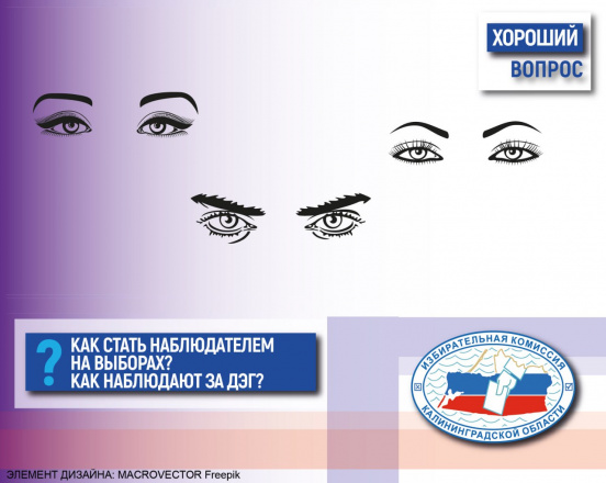 Хороший вопрос. Как стать наблюдателем на выборах?